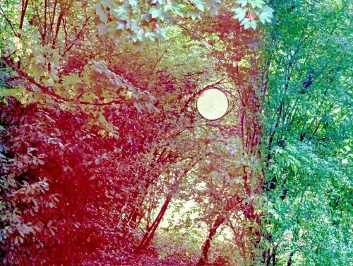 30 PXL_20250902_180203931